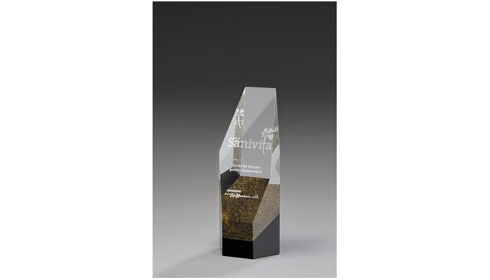 Aria Award 79031