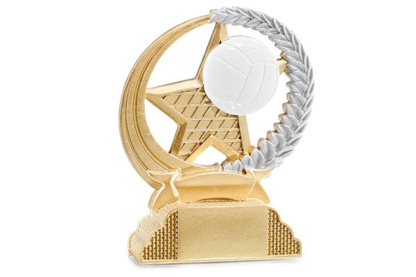 Pokal Volleyball 31335