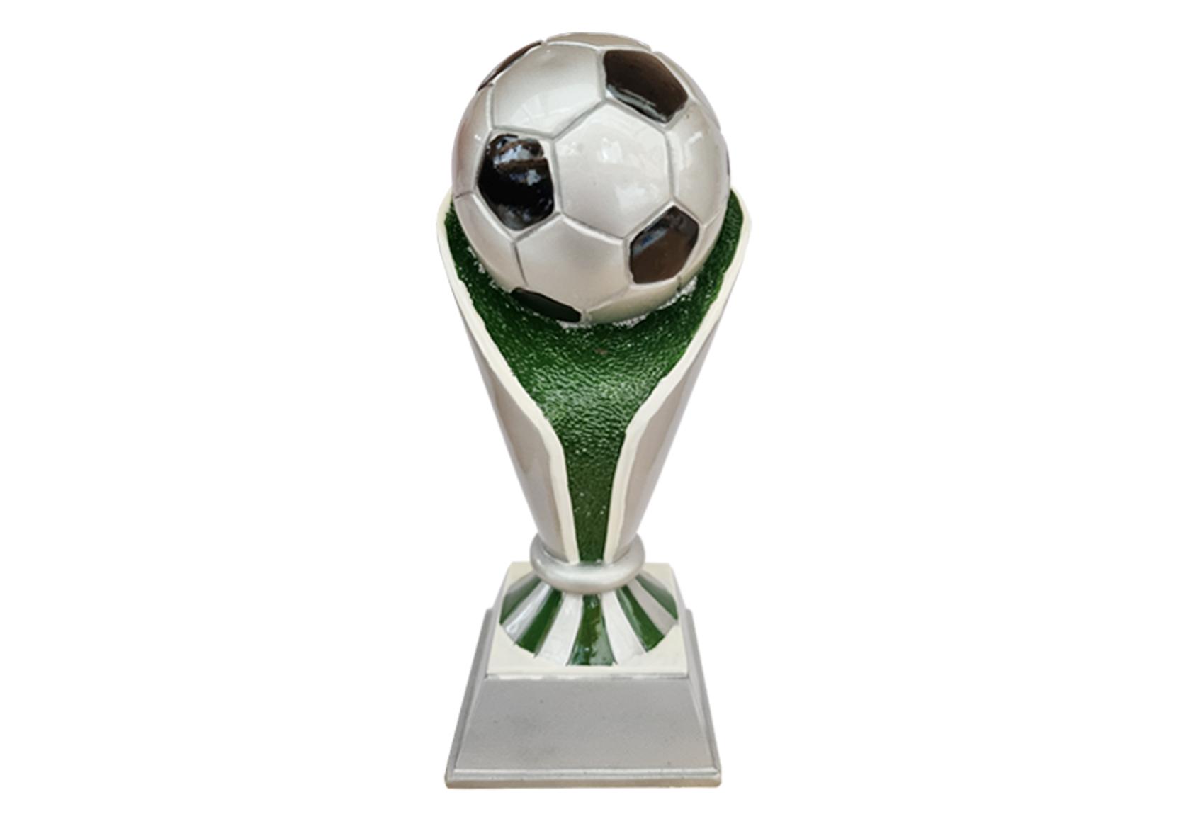 Fußball Pokal C132.1